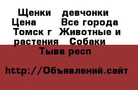 Щенки - девчонки › Цена ­ 2 - Все города, Томск г. Животные и растения » Собаки   . Тыва респ.